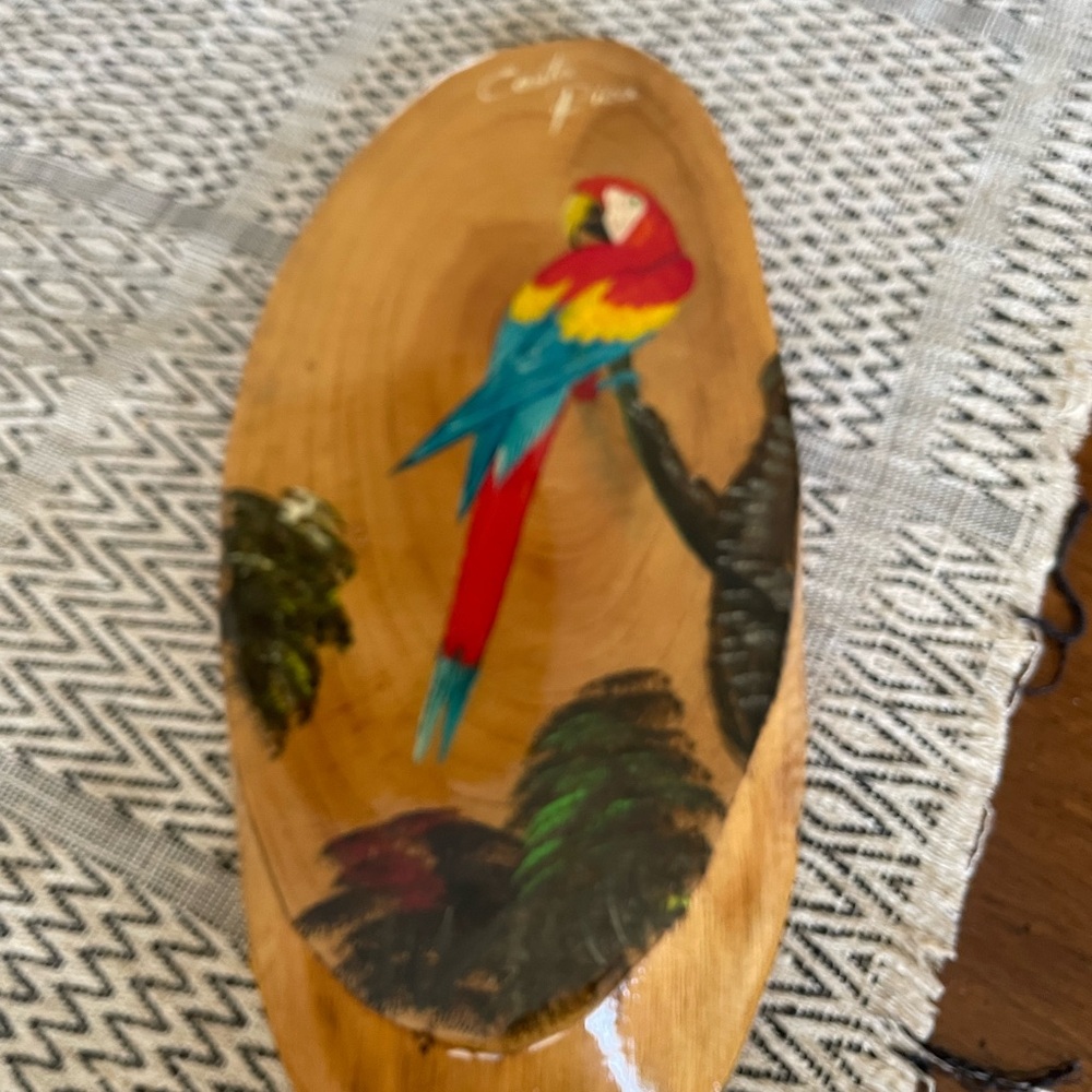 Vintage hand painted Costa Rica Vibrant Parrot Wooden Art